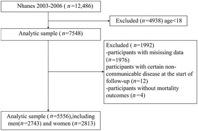 Prospective cohort study of <mark class="highlighted">broccoli</mark> consumption frequency and all-cause and cause-specific mortality risks